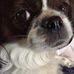 Gloria Null - Facebook