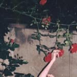 Gloria Nulleshi - @glorianulleshi - Instagram