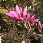 Gloria Oates - @oates.gloria - Instagram