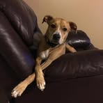 Gloria Oneill - Facebook