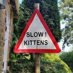 Gloria Park - @kittensonparade - Instagram