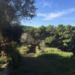 Gloria Spence - @gloriaspence - Instagram