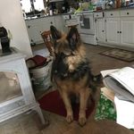 Gloria Plummer - @gloplummer - Instagram