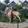 Gloria Power - @gloria_pw - TikTok