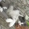 gloria.power - @gloria.power1986 - TikTok