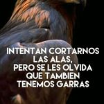 Gloria Damián Prospero - @gloriadamianprospero - Instagram