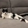 allthepurdythings - @purdygloriane - TikTok