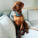 Gloria Purdy - @glop1212 - Instagram