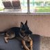 Gloria Raines - Facebook