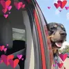 registro_gloria_velas - @registro_gloria_velas - TikTok