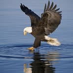 Gloria Roark - Facebook