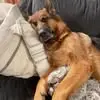 Gloria Rollins - @gloria.rollins - TikTok