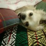 Róth Gloria - @gloria_roth - Instagram