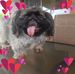 Gloria Sauer - Facebook