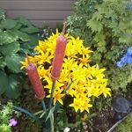 Gloria Sauer - @sauergloria - Instagram