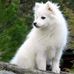 Gloria Schaffer - Facebook