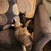 Gloria Segal - Facebook