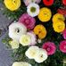 Gloria Sequeira - Facebook