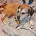 Gloria Sheldon - Facebook