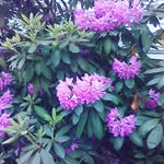 Gloria Sheldon - @nana_i_am345 - Instagram
