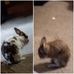 Gloria Sheldon - Facebook