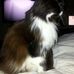 Gloria Shellard - Facebook