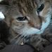 Gloria Snell - Facebook