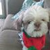 Gloria Spivey - Facebook