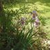 Gloria Squires - Facebook