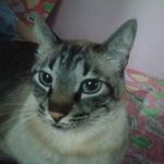Gloria Steffeny Oliveira - @gloriasteffeny - Instagram