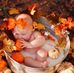 Gloria Terrell - Facebook