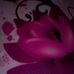 Gloria Terrell - Facebook