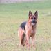 Gloria Thorne - Facebook