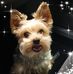 Gloria Tran - Facebook