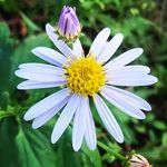 AMARIGE - @gloria.veatrice613 - Instagram