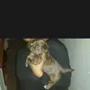 gloriatrice4 - @gloriatrice4 - TikTok