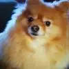 Gloria Vick - @gloriavick0 - TikTok