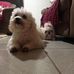 Gloria em Vila Velha - Facebook