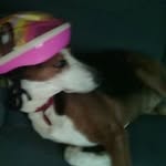 Gloria Vila Gutierrez - @vilagutierrez - Instagram
