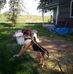 Gloria Wade - Facebook