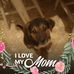 Gloria Wade - Facebook