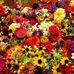 Gloria Werner - Facebook