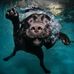 Gloria Werner - Facebook