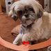 Gloria Wilcox - Facebook