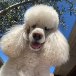 Gloria Windsor - @gloriawindsor - Instagram
