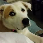 Gloria Windham - @gloria33383 - Instagram