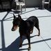 Gloria Windham - Facebook