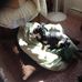 Gloria Womack - Facebook