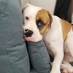 Gloria Wright Wells - @gloria.wells - Instagram