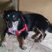 Gloribel Ramirez - Facebook